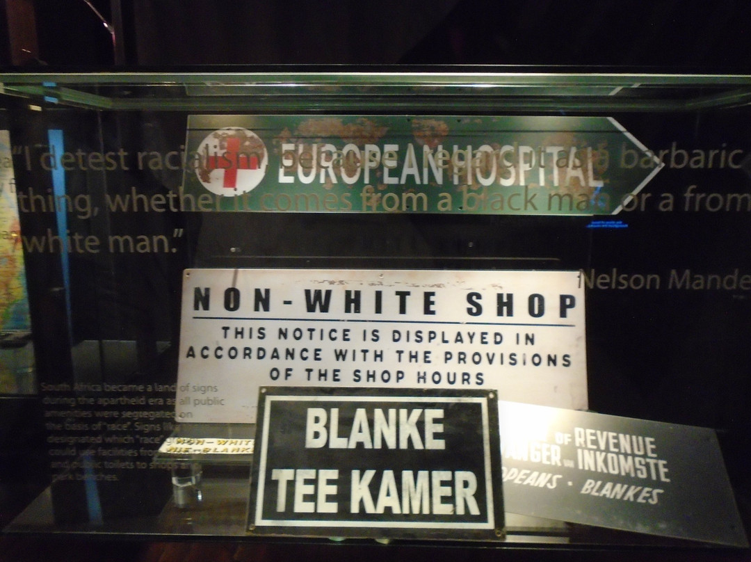 Gold of Africa Museum-开普敦中心区必去景点