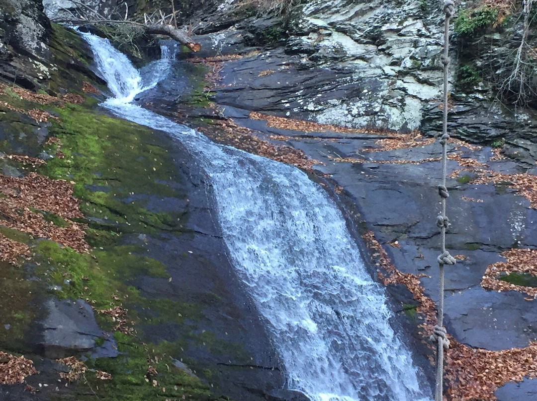 Hornsbeck Creek Falls景点图片