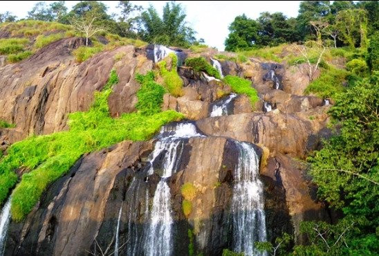 Ilanjippara Waterfall景点图片
