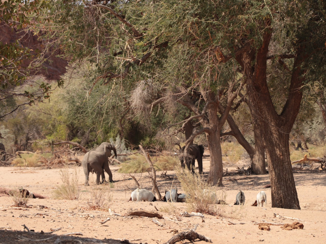Ugab River-Khorixas必去景点