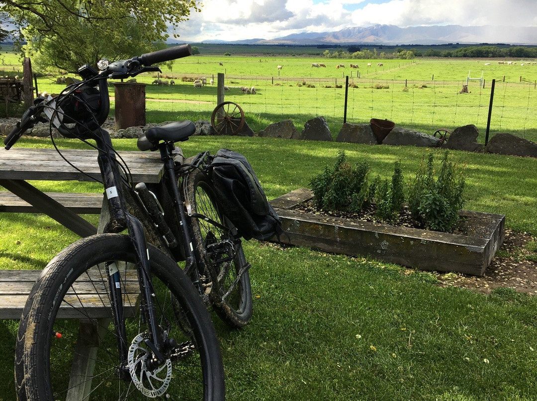 Rail Trail-Middlemarch必去景点