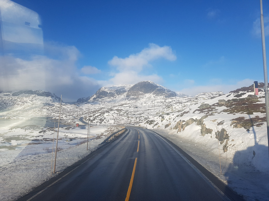 Haukelifjell Skisenter-Telemark必去景点