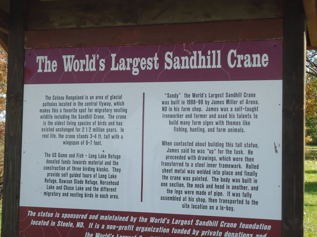 World's Largest Sandhill Crane景点图片