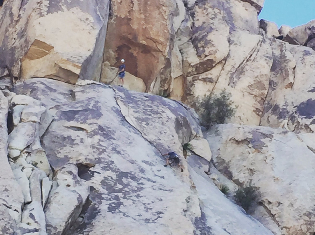 Mojave Guides-约书亚树必去景点