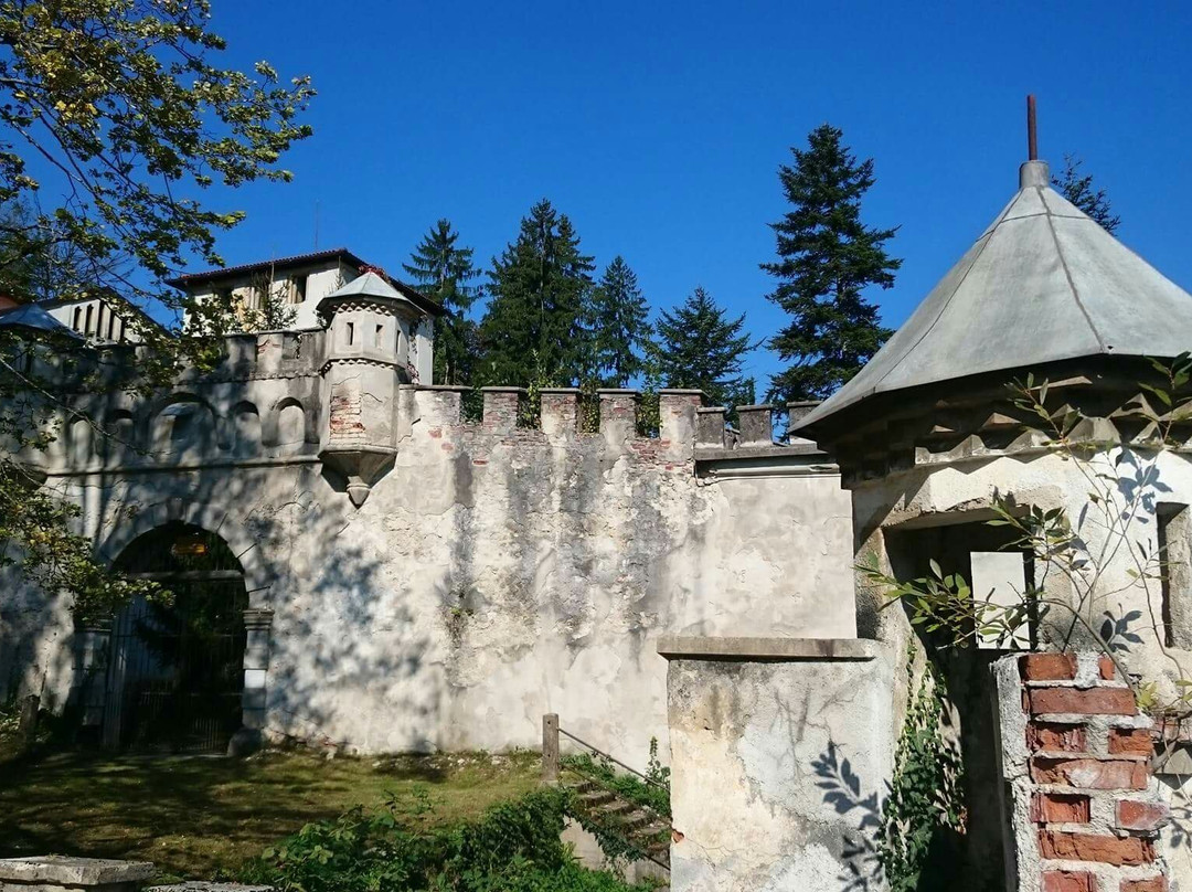 Dvorac Bosilje/ Stari grad Bosiljevo景点图片