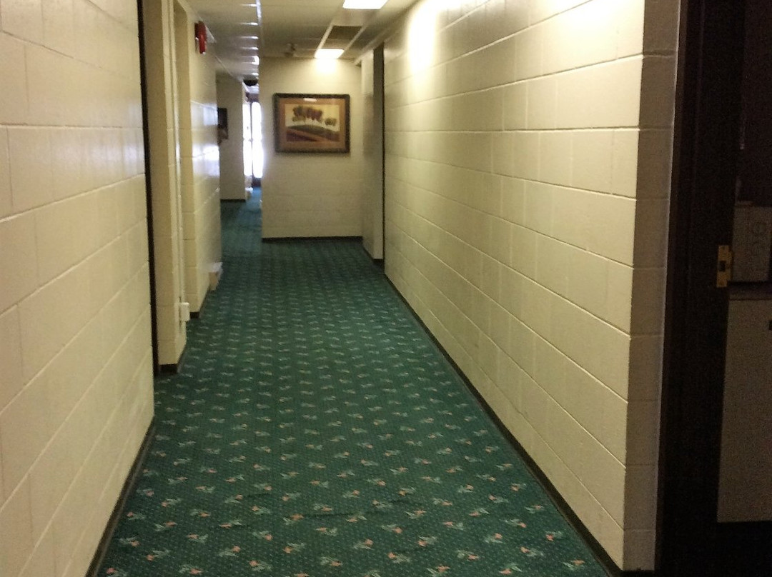 Kowality Motor Inn主图