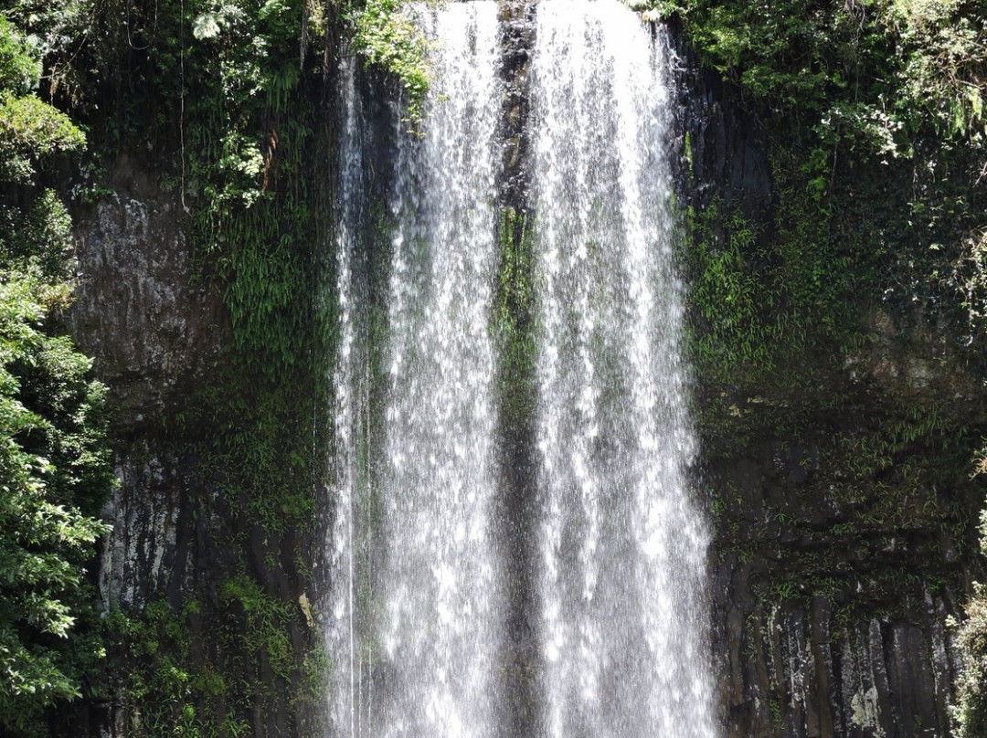 Wooroonooran National Park-Topaz必去景点