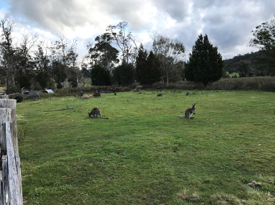 Wind Song Bed & Breakfast主图