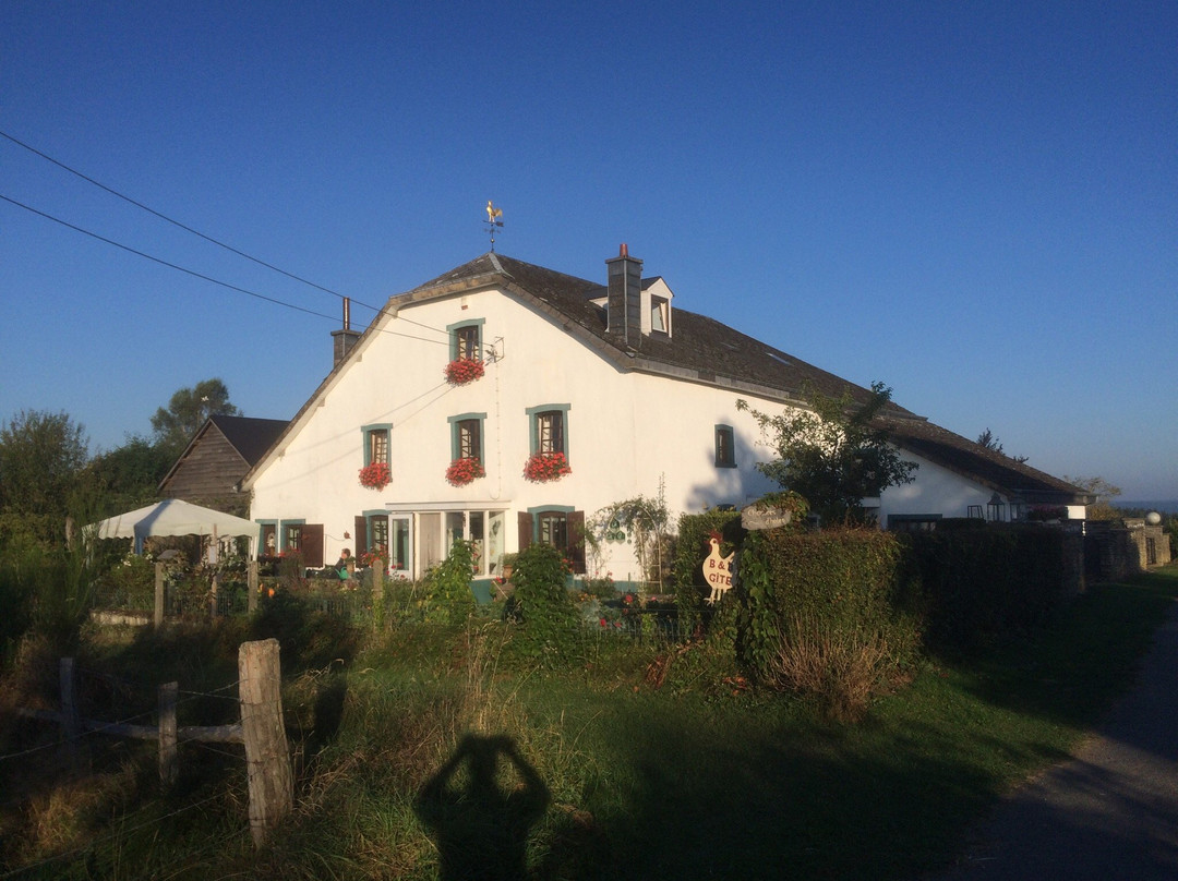 B&B Cetturu