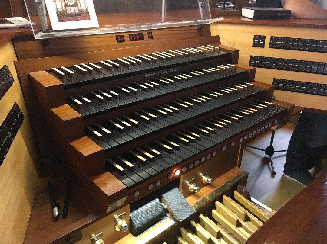 Sankt Wendelinus Basilika-St. Wendel必去景点