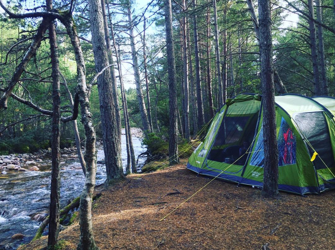 Rothiemurchus Camp and Caravan
