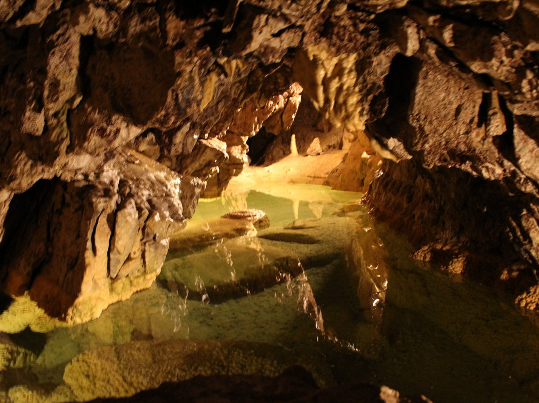 Grottes de Vallorbe景点图片