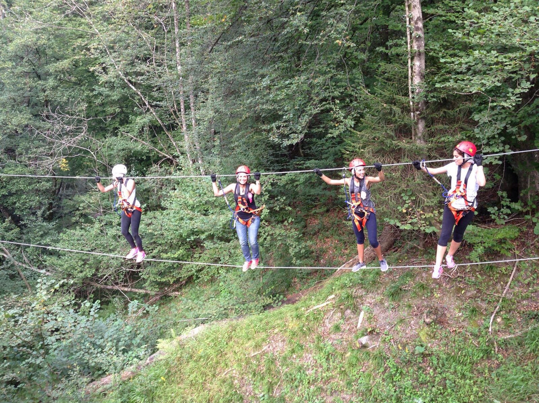 Jungle Raider Park Xtreme-Caglio必去景点