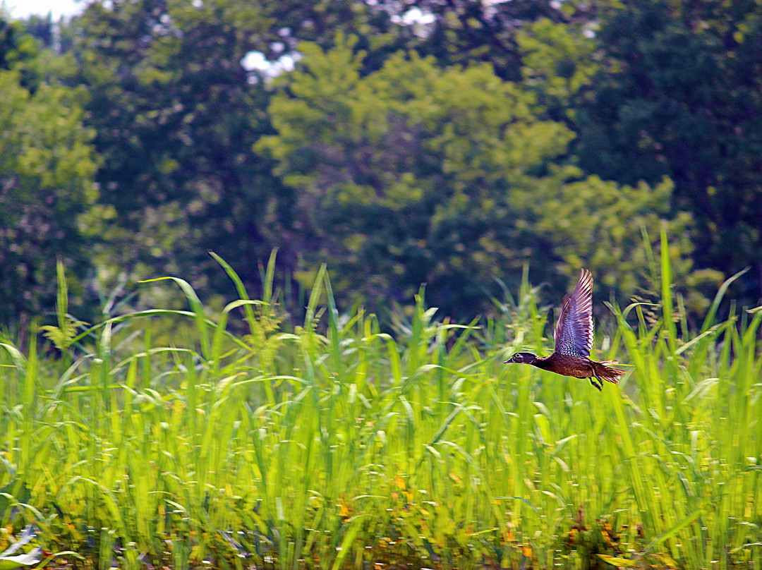 Patuxent River Park-Upper Marlboro必去景点