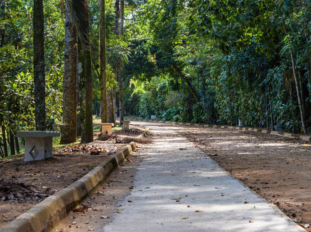Lago Municipal de Espírito Santo do Pinhal-Espirito Santo Do Pinhal必去景点