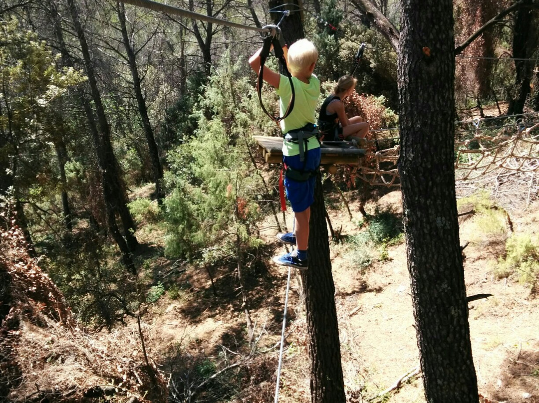 Parc aventure Flay Forest景点图片