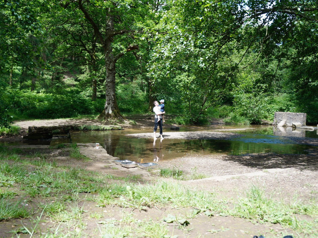 Wenchford Picnic Site景点图片