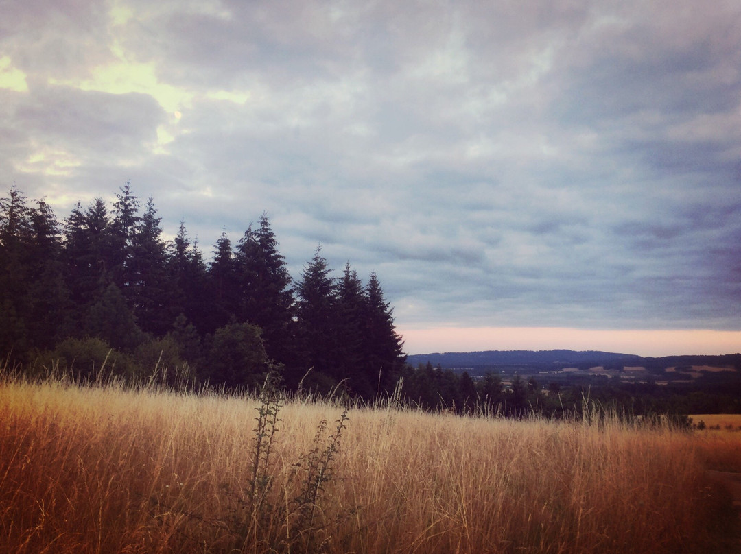 Cooper Mountain Nature Park-比弗顿必去景点