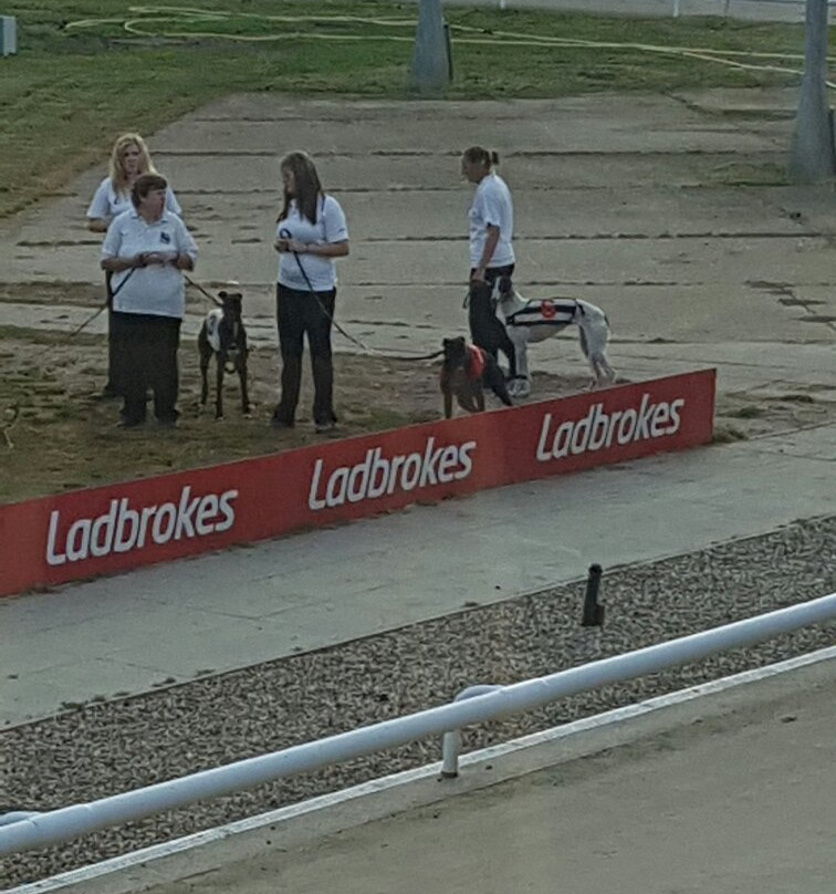 Crayford Greyhound Track景点图片