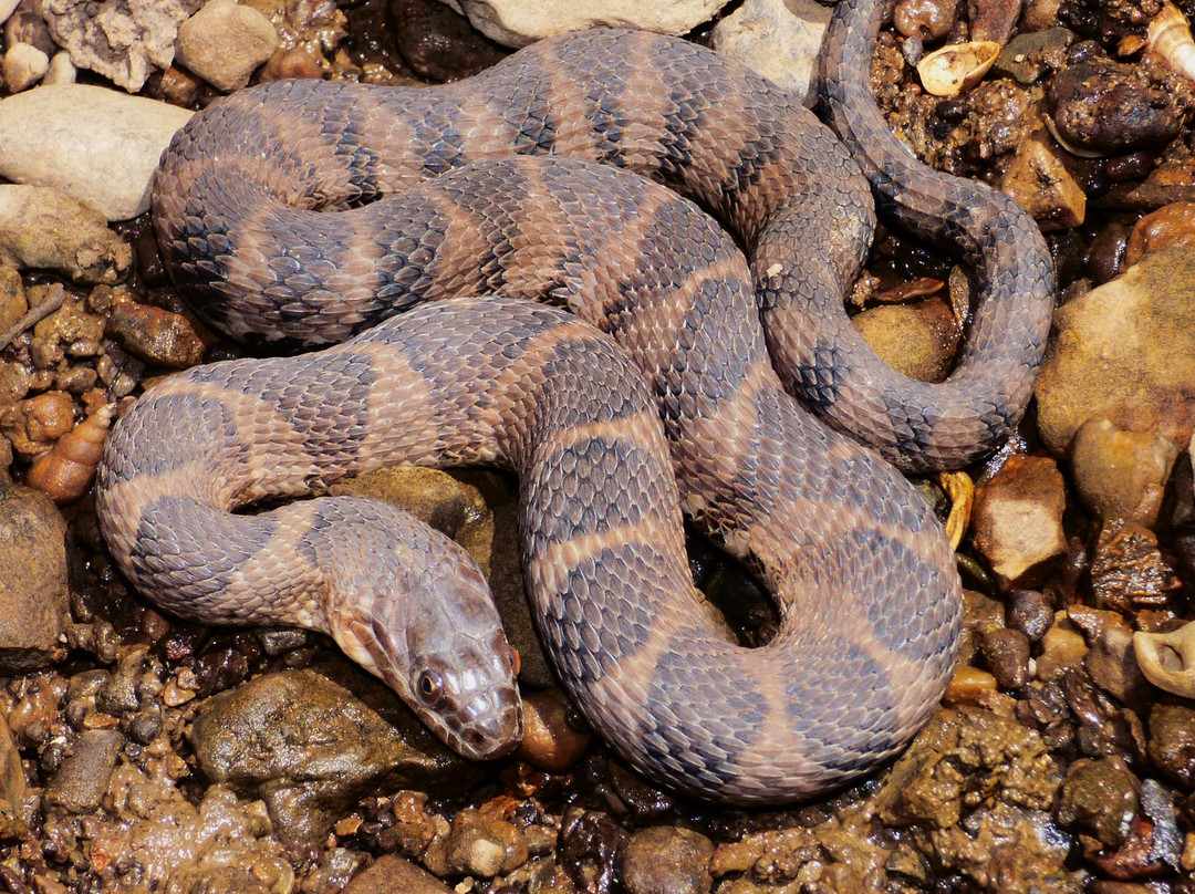 The Parklands of Floyds Fork-路易斯维尔必去景点