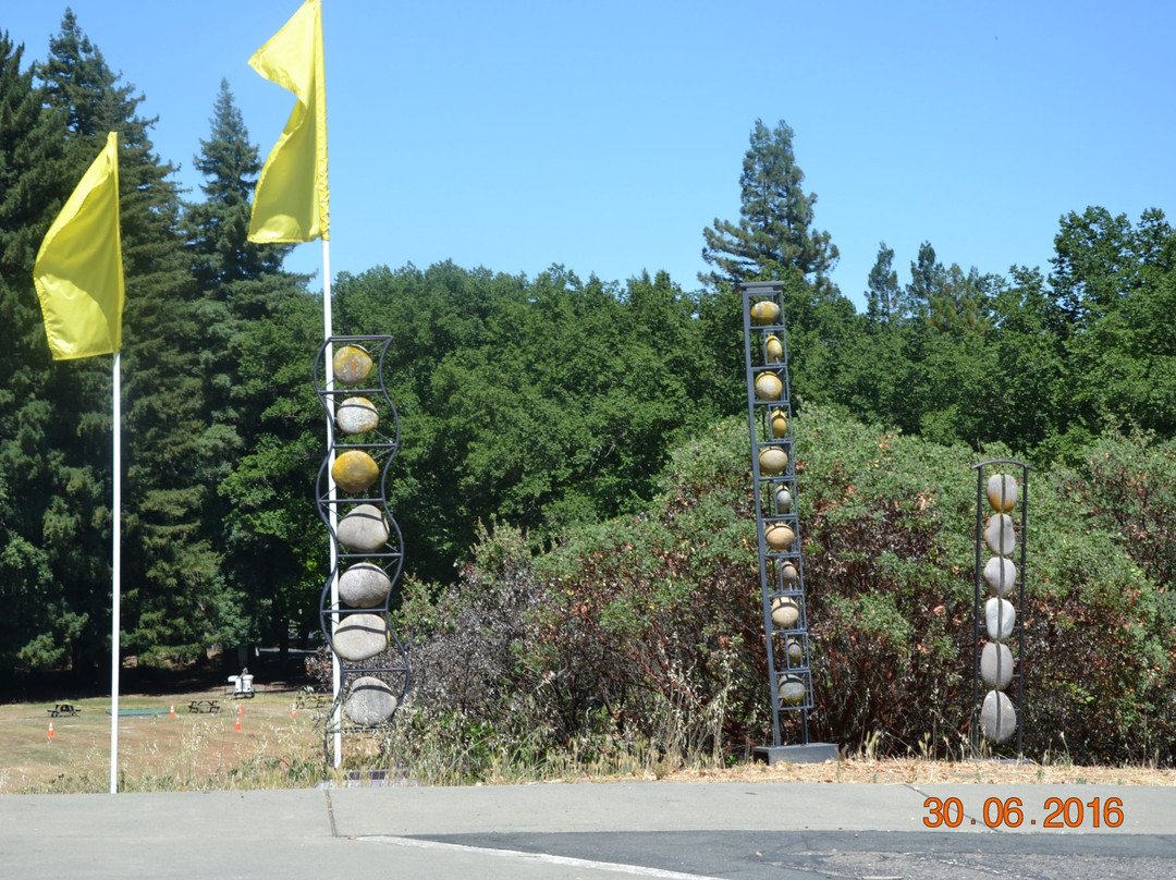 Napa Valley Museum景点图片