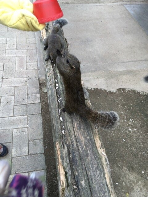 Shimin Fureai no Sato-大阪狭山市必去景点