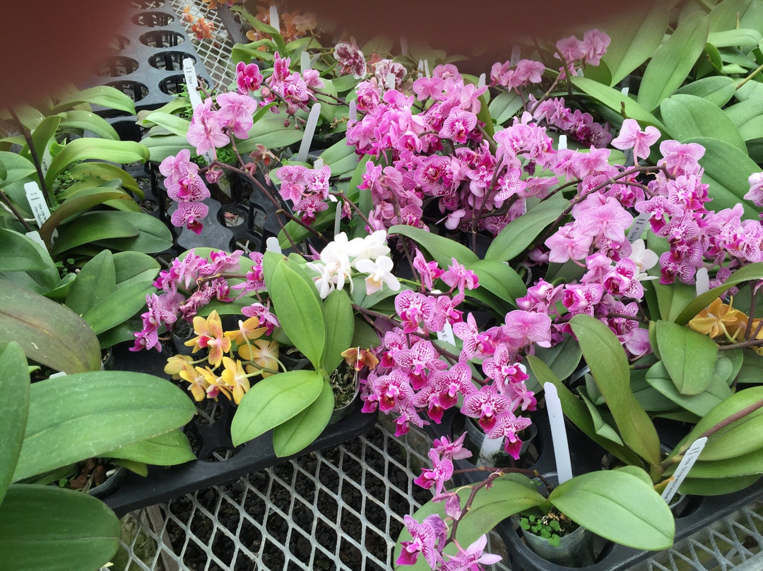 Gubler Orchids-Landers必去景点