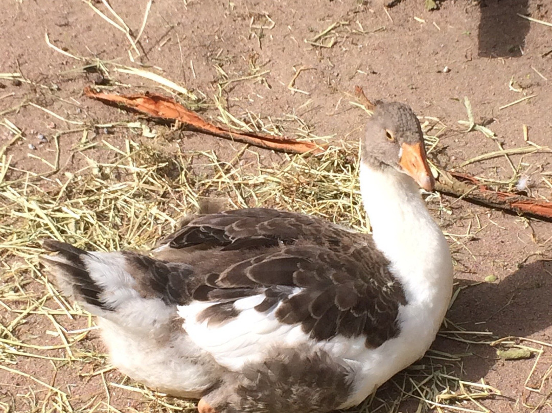 Kupittaa Park-土尔库必去景点