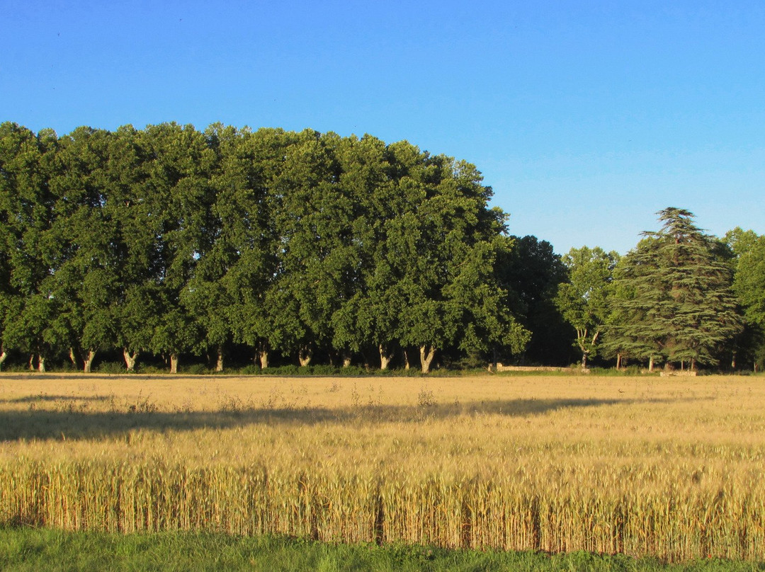Domaine de Saint-Ferreol主图