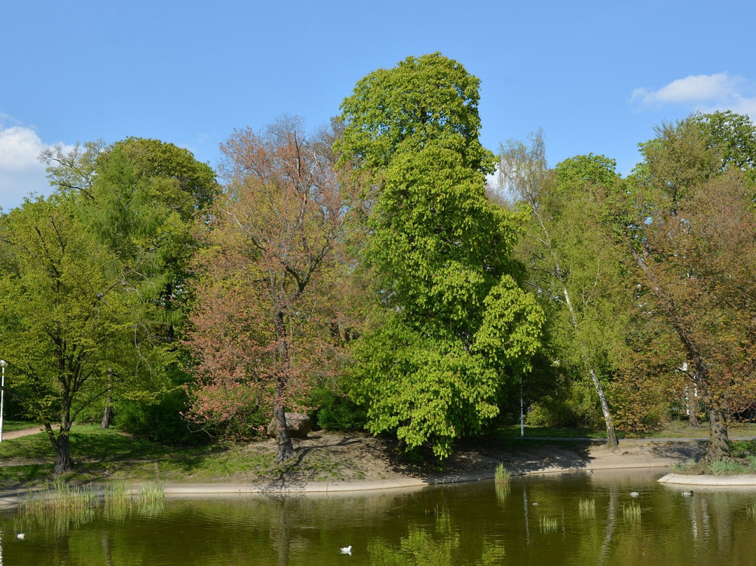 Woodrow Wilson Park-波兹南必去景点