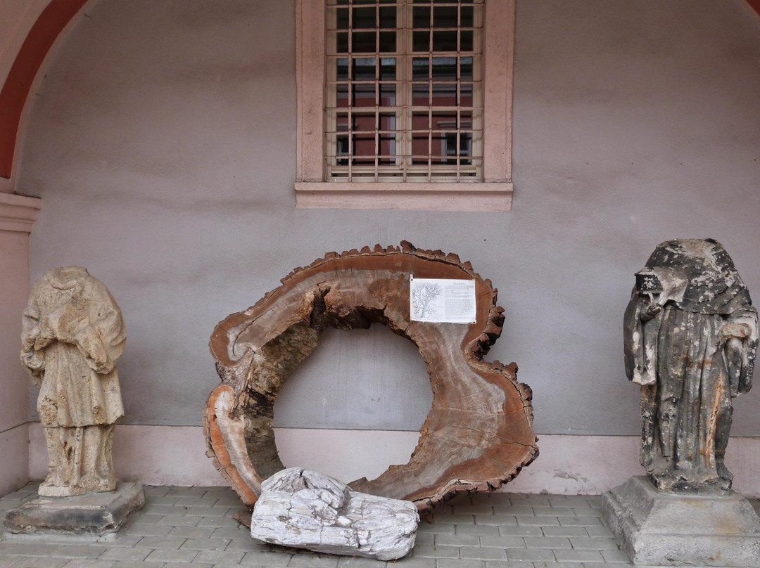 Sokolovsky Castle and Muzeum-Sokolov必去景点