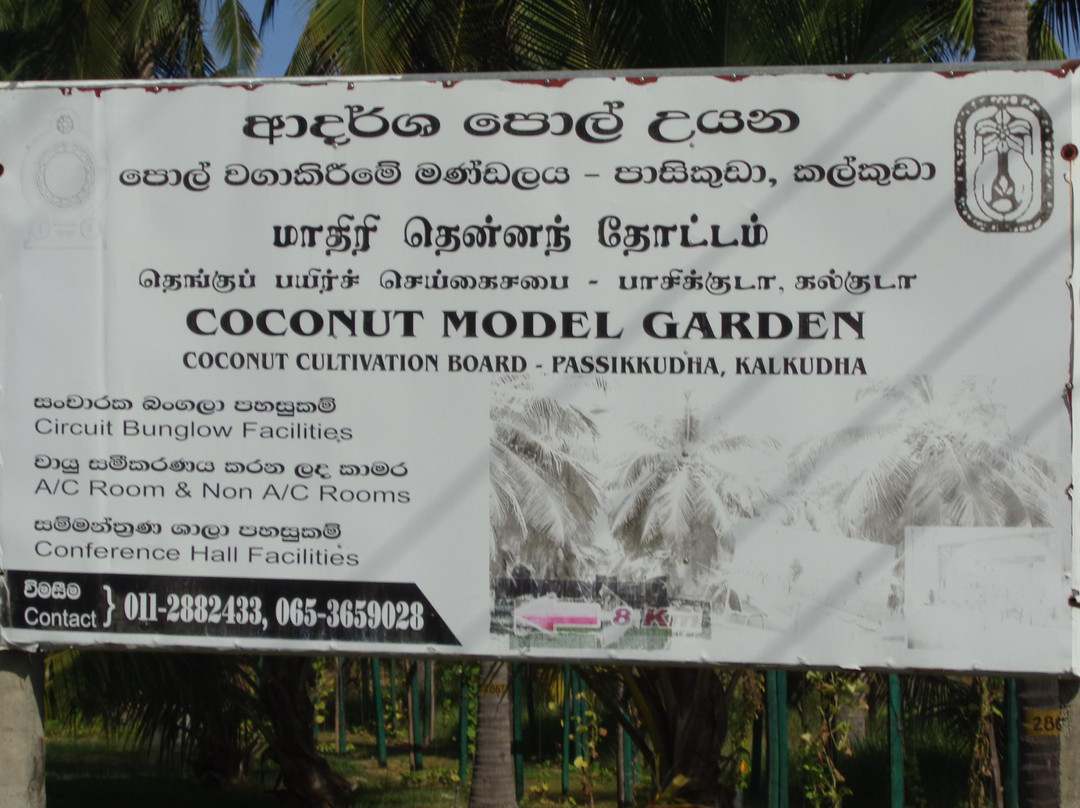 Coconut Cultural Park-卡尔库达必去景点