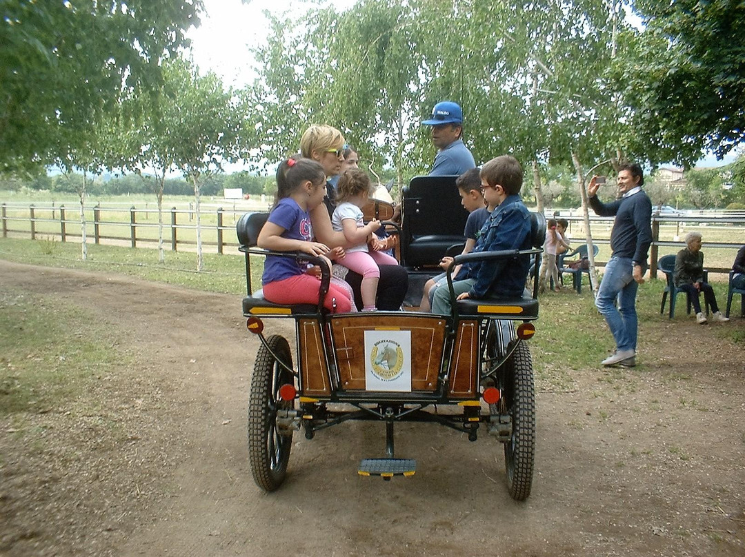 Equitazione Campo Abierto景点图片