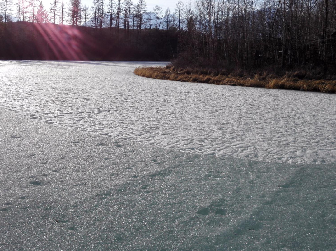 Charskiye Sands-Novaya Chara必去景点