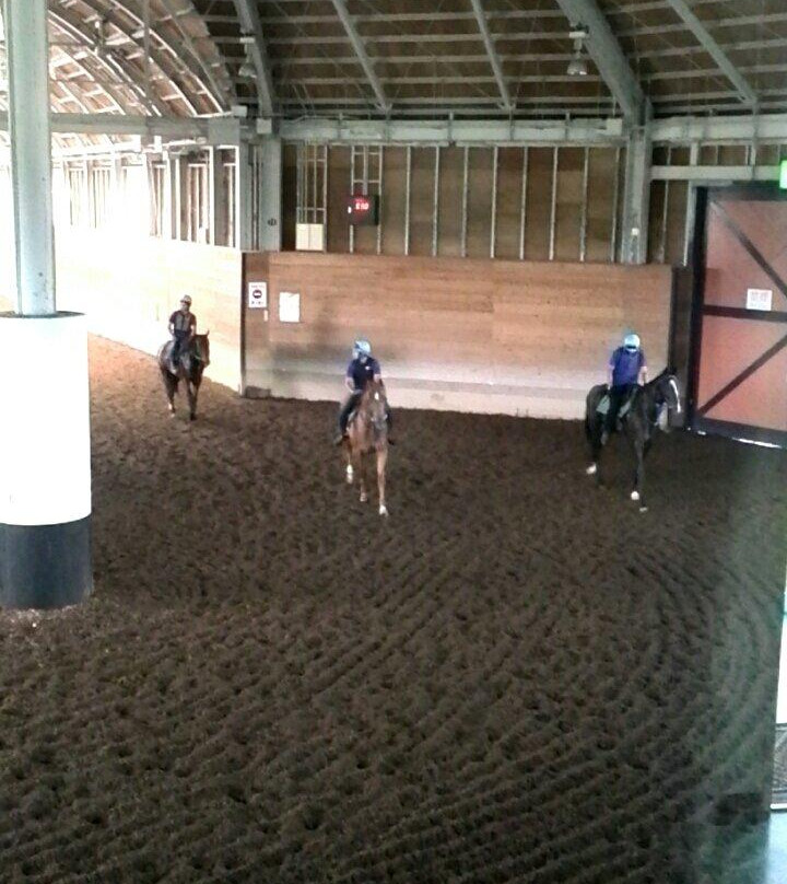 JRA Hidaka Ikusei Ranch-浦河町必去景点