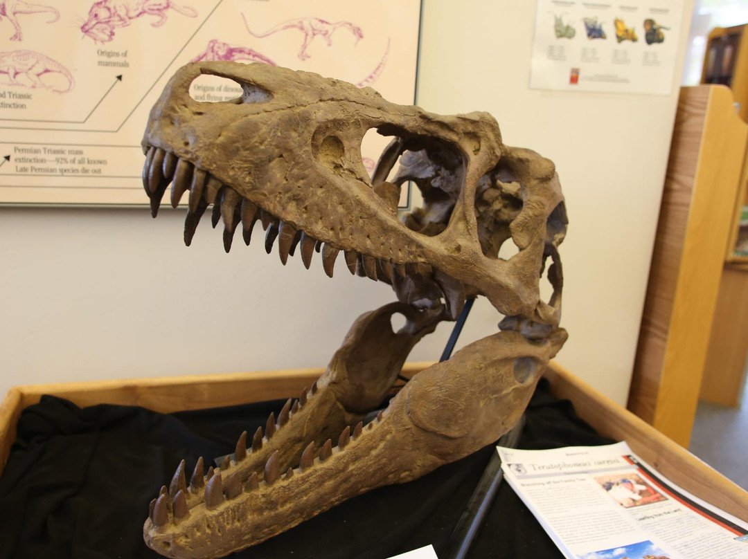 Big Water Visitor Center-比格沃特必去景点