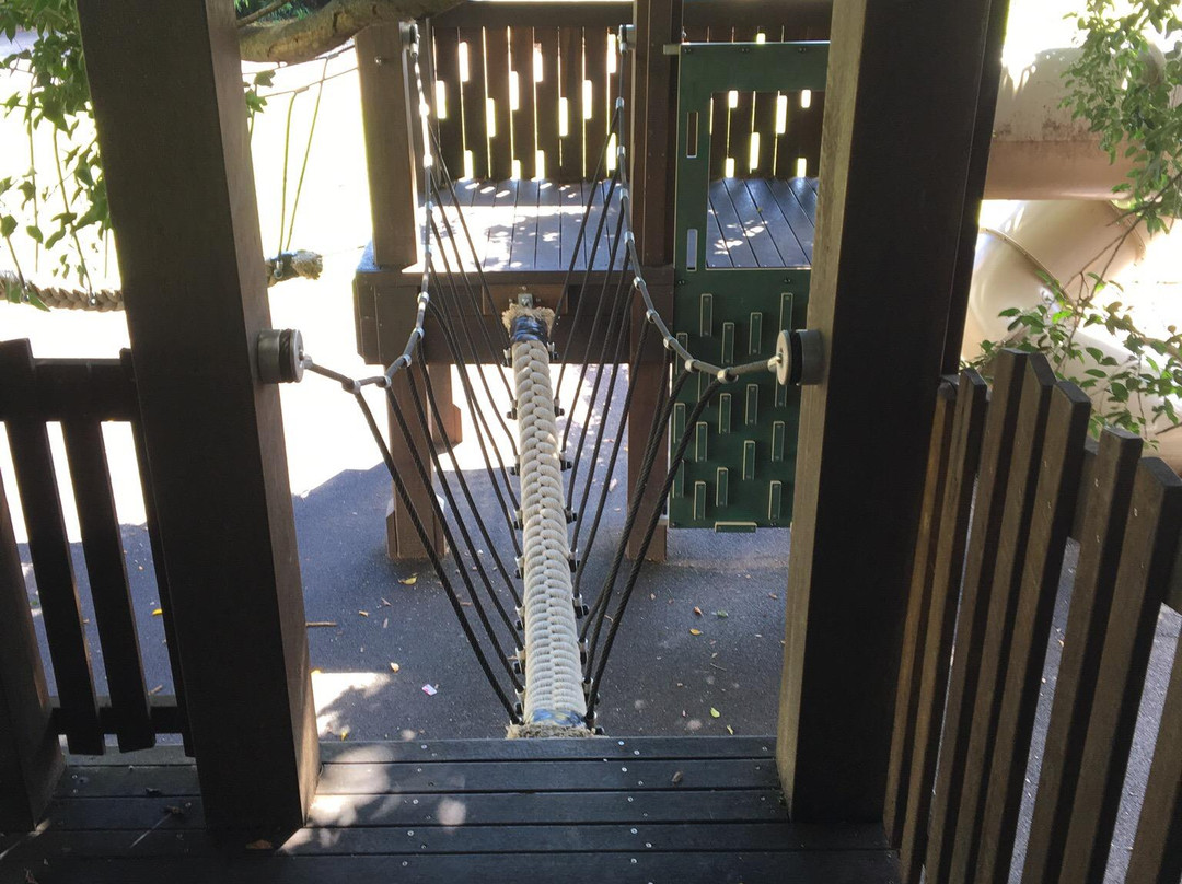 Figtree Playground-凯恩斯必去景点