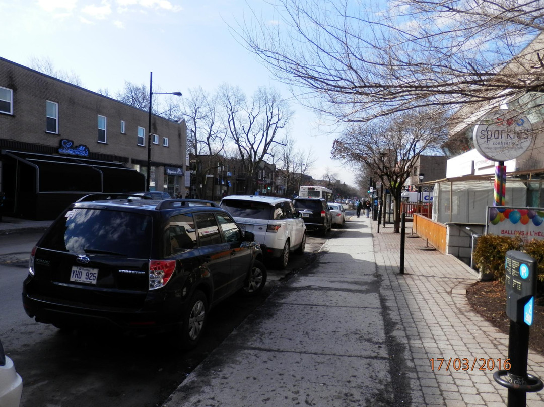 Monkland Avenue景点图片
