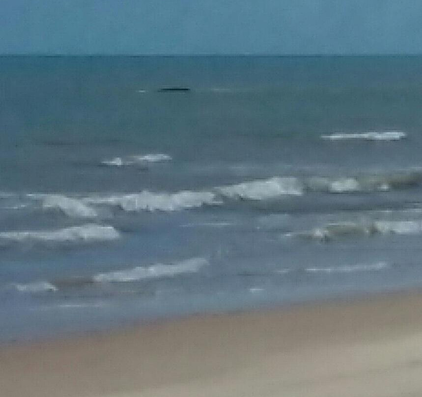 Barra Beach-Alcobaca必去景点