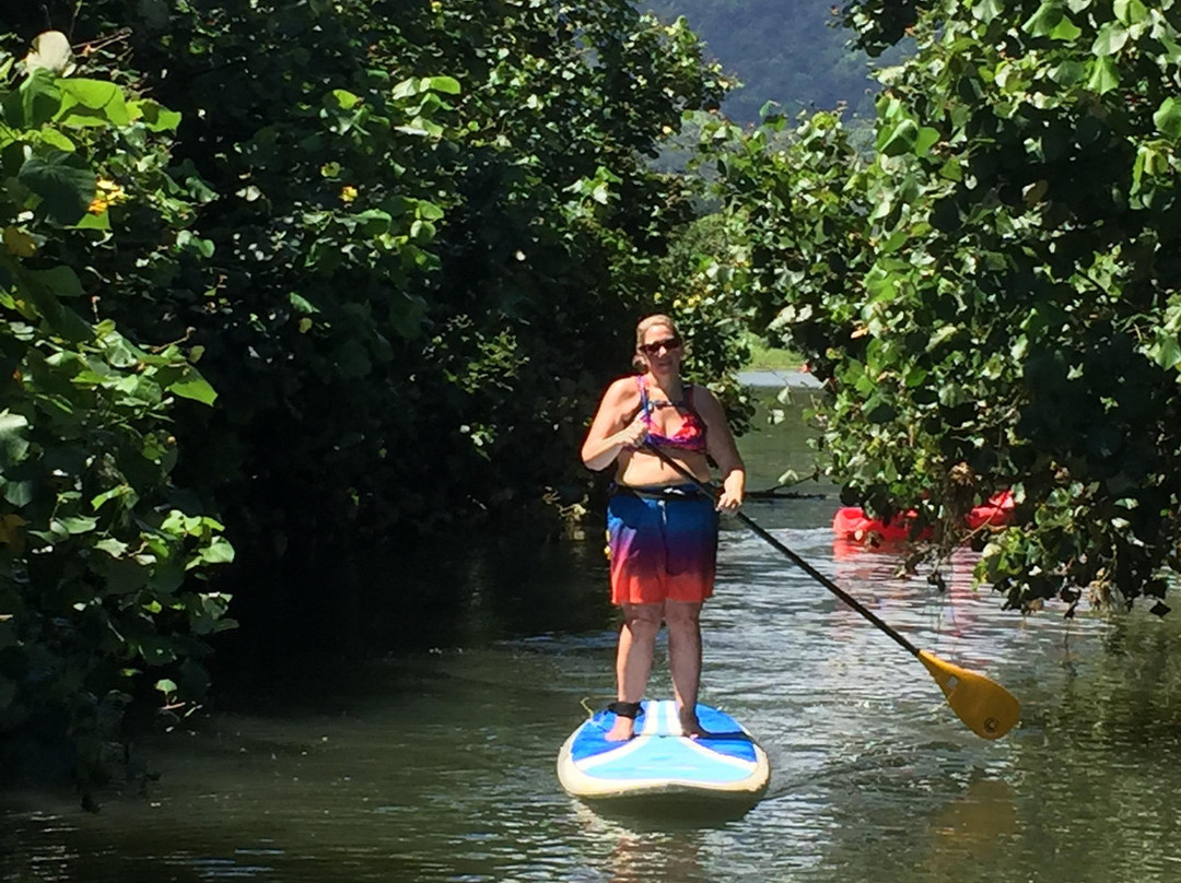 Turtle's Paddle Adventures-卡阿瓦必去景点