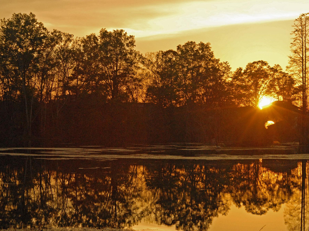 North Augusta旅游攻略图片