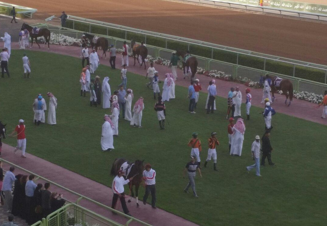 King Abdulaziz Equestrian Field-利雅德必去景点