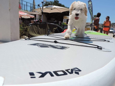 SUP Center San Vito Lo Capo - SUPrising-圣维托角必去景点