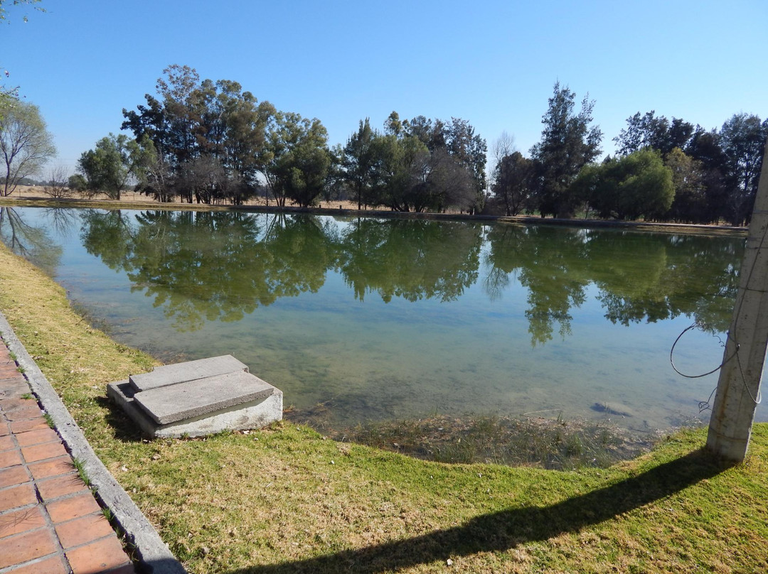 Balneario El Paraiso-Lagos de Moreno必去景点