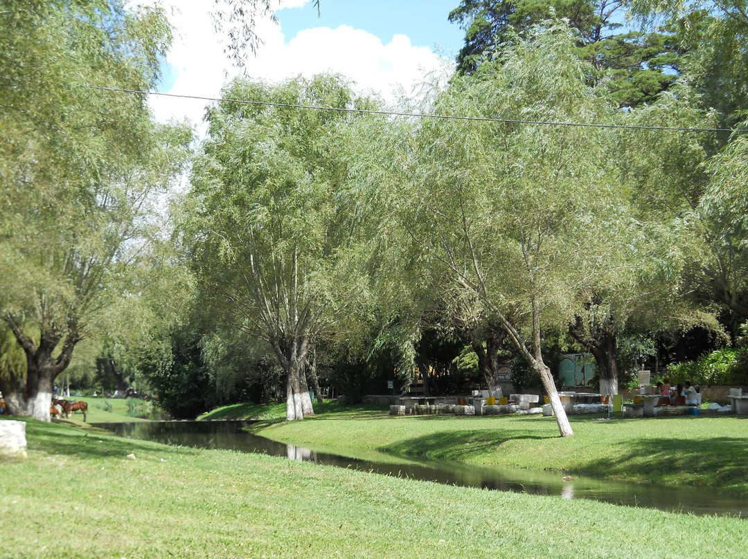 Balneario Municipal景点图片