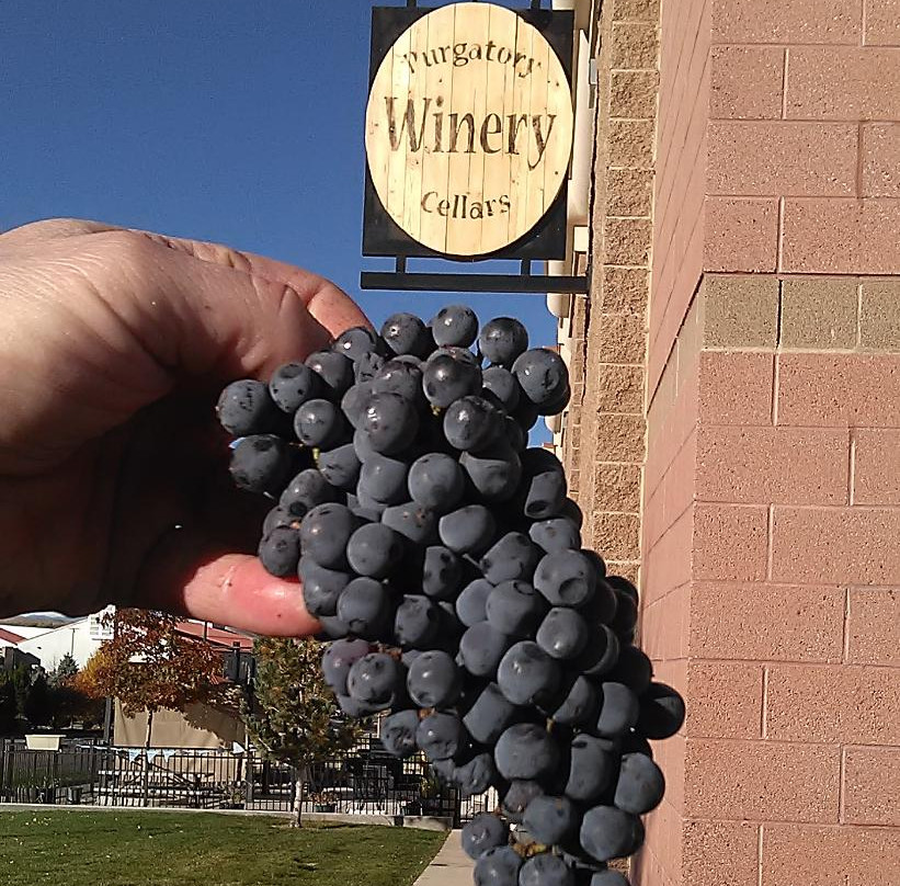 Purgatory Cellars-帕克必去景点