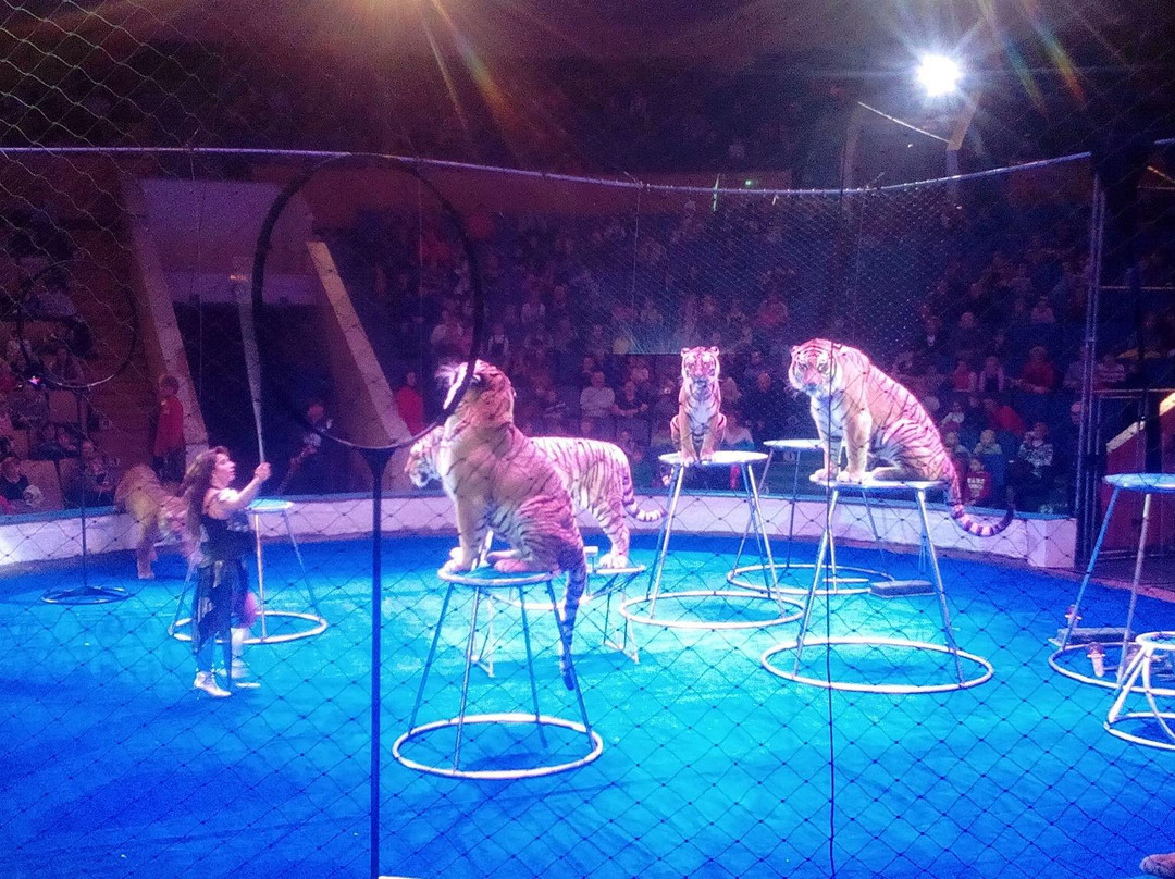 Chelyabinsk State Circus-车里雅宾斯克必去景点