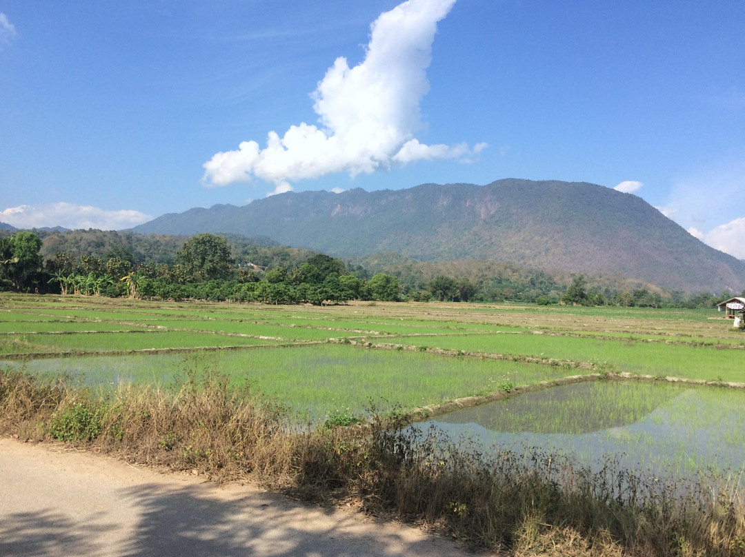 Barking Gecko Travel - Day Tours-清迈必去景点