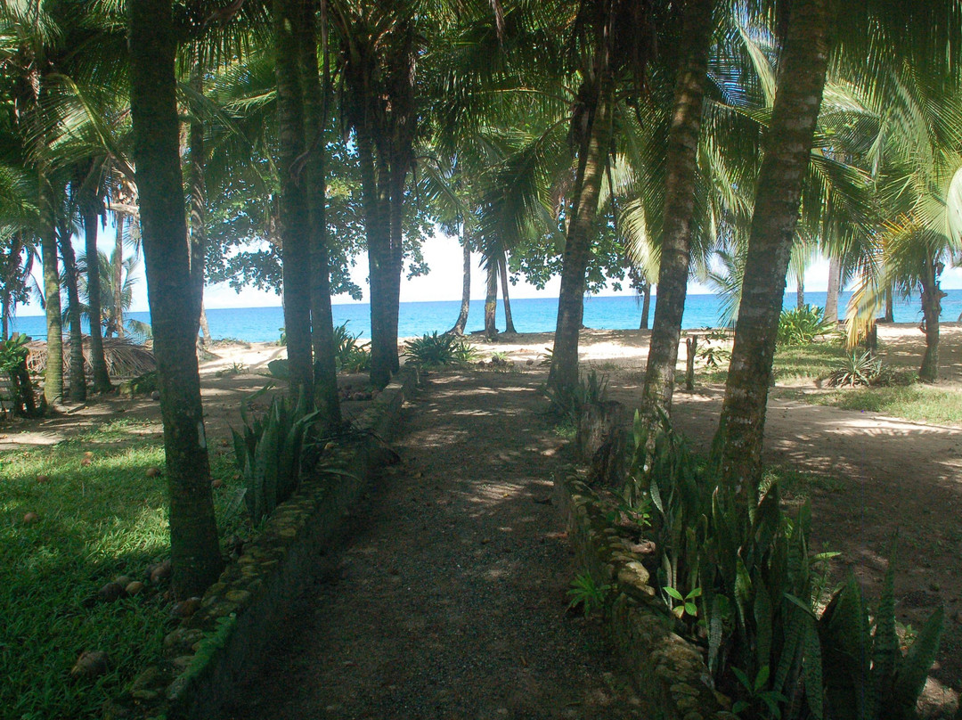 Hotel Arrecife Punta Uva