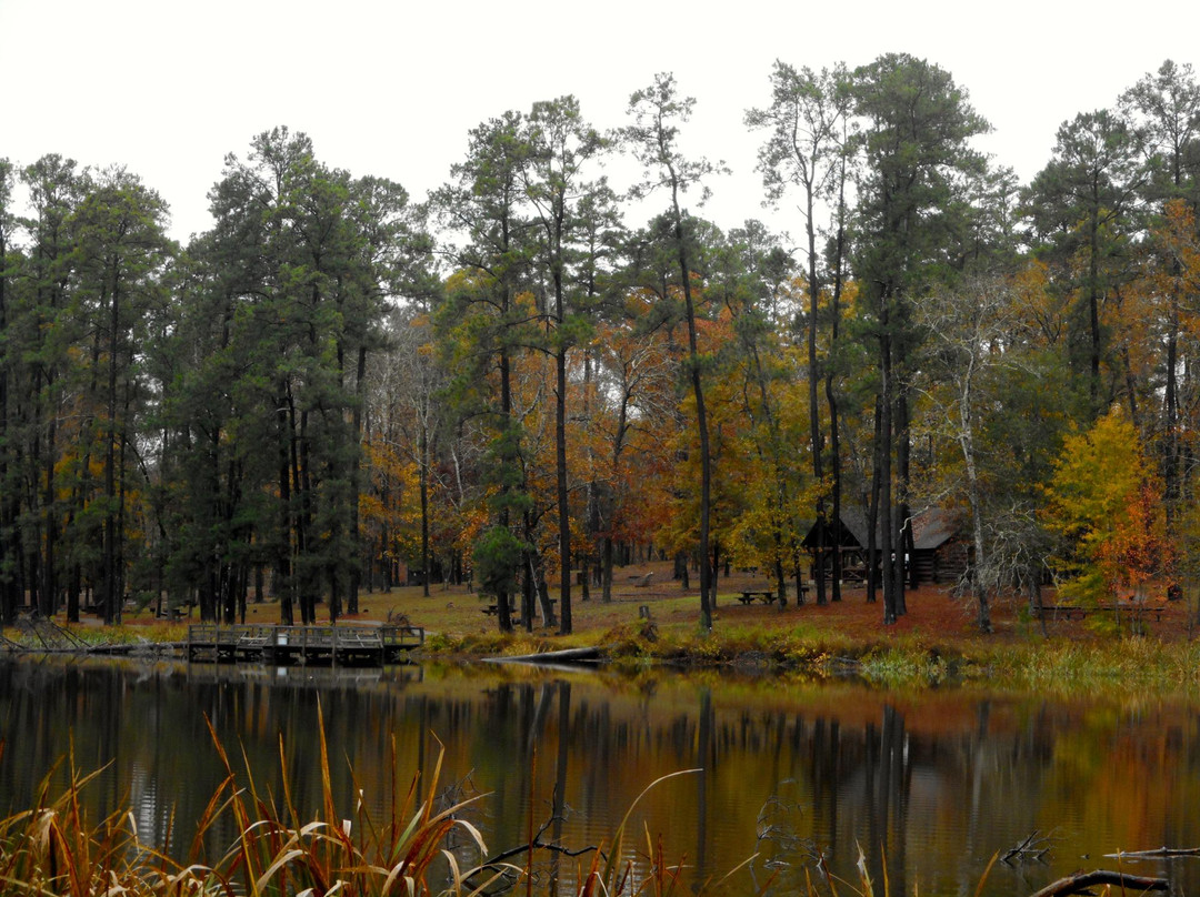 Davy Crockett National Forest-Ratcliff必去景点